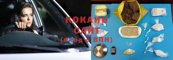 прущие грибы Абинск