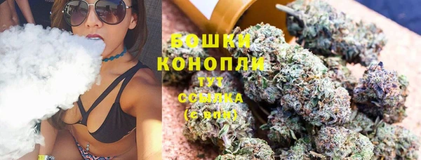 прущие грибы Абинск
