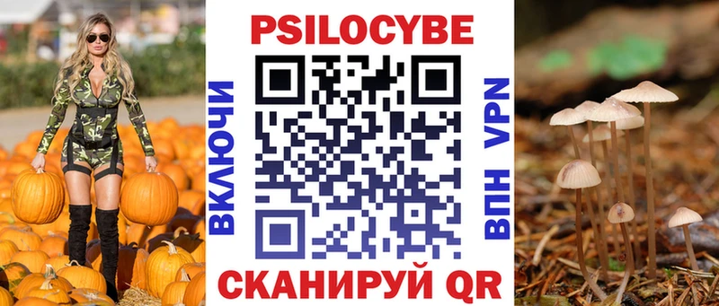 Псилоцибиновые грибы мухоморы  сайты даркнета наркотические препараты  Суджа 
